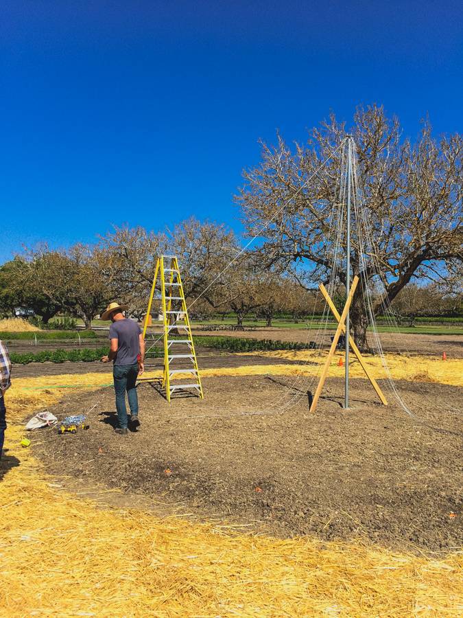 It’s been a while since we last discussed all the latest happenings in our garden. So now that spring is officially in the air, we figured there’s no better time to get out in the garden with Executive Chef Justin Wangler and Culinary Gardener Tucker Taylor and discuss our upcoming crops.