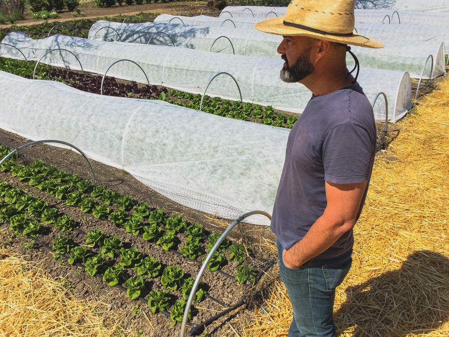 It’s been a while since we last discussed all the latest happenings in our garden. So now that spring is officially in the air, we figured there’s no better time to get out in the garden with Executive Chef Justin Wangler and Culinary Gardener Tucker Taylor and discuss our upcoming crops.