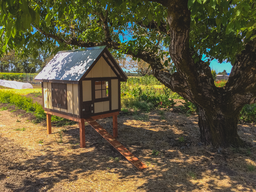 It’s been a while since we last discussed all the latest happenings in our garden. So now that spring is officially in the air, we figured there’s no better time to get out in the garden with Executive Chef Justin Wangler and Culinary Gardener Tucker Taylor and discuss our upcoming crops.