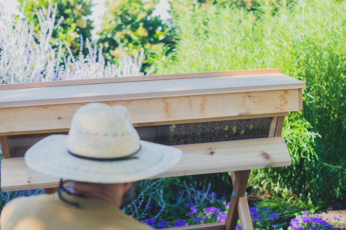 Demonstration beehive in the Kendall-Jackson gardens.