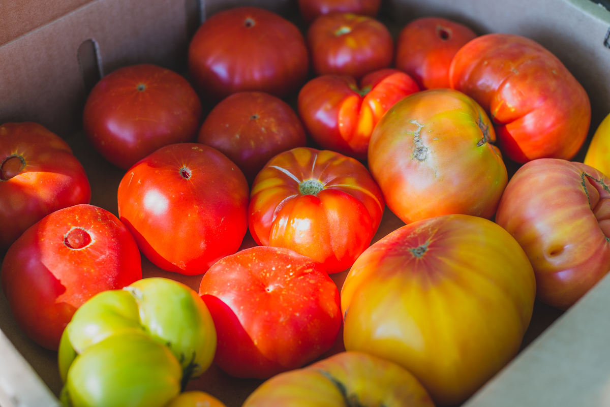 Heirloom Tomatoes