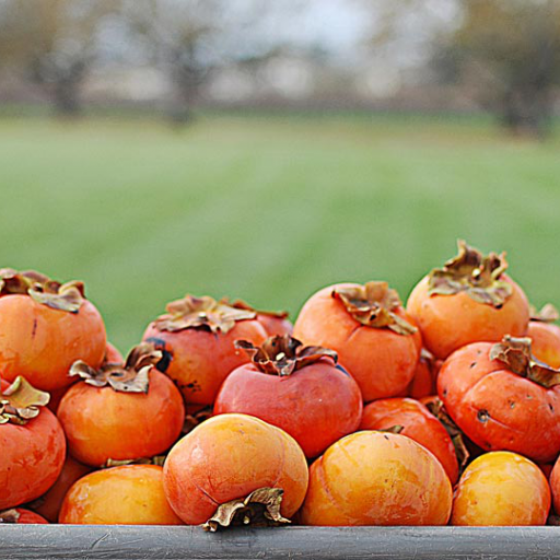 Fuyu Persimmon and Pomegranate Salad