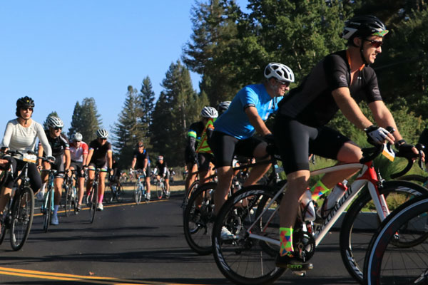 Tour De Fox Wine Country 