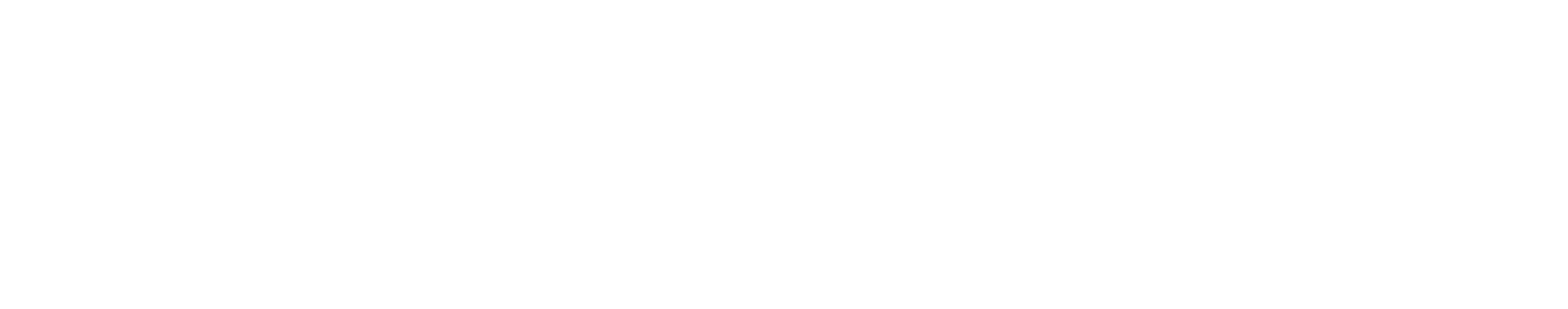 Forest, trees