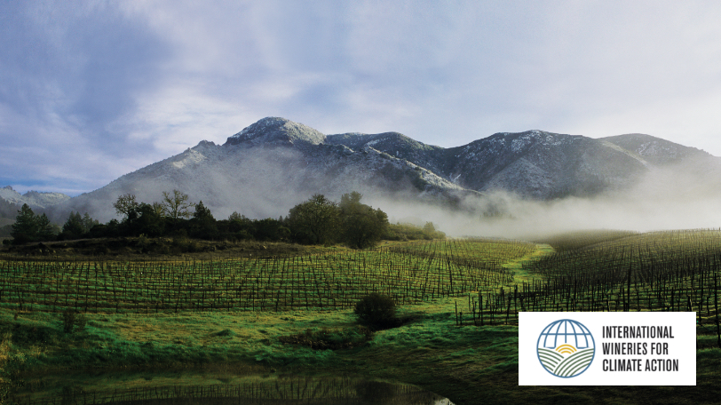 International Wineries for Climate Action (IWCA) 