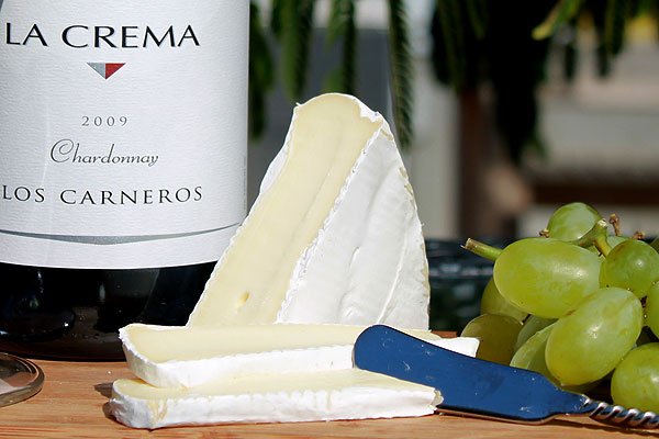 chard_brie brie cheese and chardonnay wine